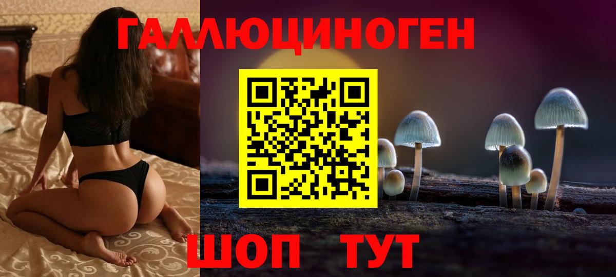 Псилоцибиновые грибы Psilocybine cubensis  Вход с VPN  Сосновоборск  Псилоцибиновые грибы мухоморы 